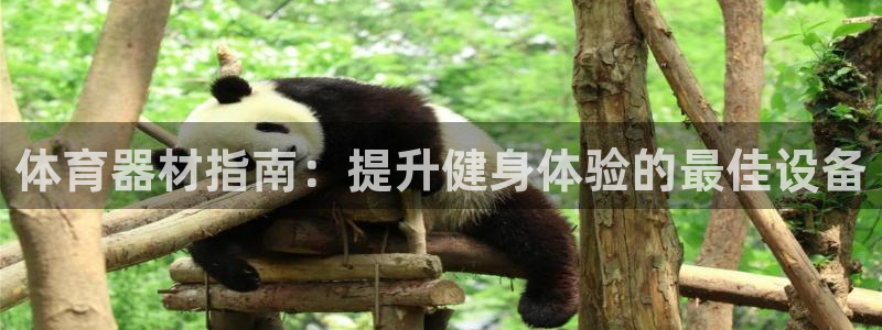 耀世影视：体育器材指南：提升健身体验的最佳设备