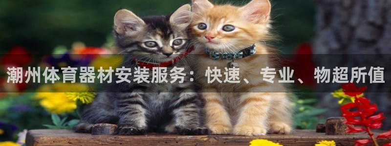 耀世平台代理多少钱一个：潮州体育器材安装服务：快速、