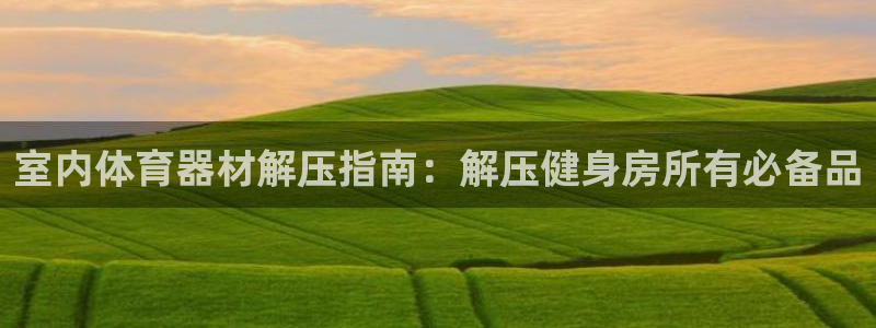 耀世娱乐好不好做：室内体育器材解压指南：解压健身房所