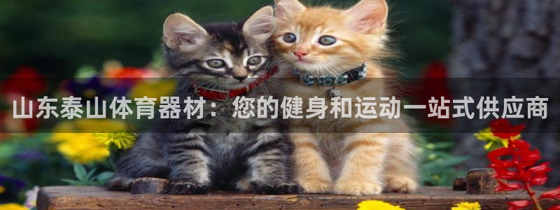 耀世平台负责人是谁：山东泰山体育器材：您的健身和运动