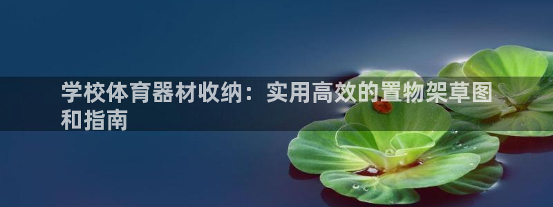 耀世娱乐平台官网登录入口手机版：学校体育器材收纳：实