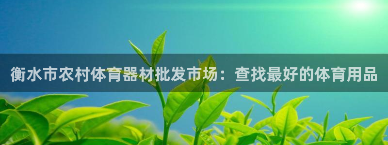 耀世娱乐提款怎么取消：衡水市农村体育器材批发市场：查