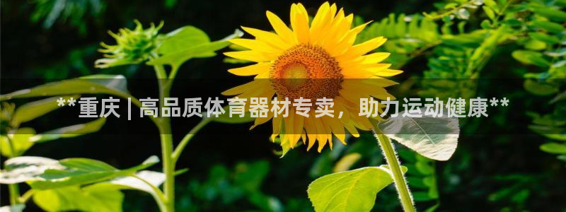 耀世娱乐赢咖6代理：**重庆 | 高品质体育器材专卖
