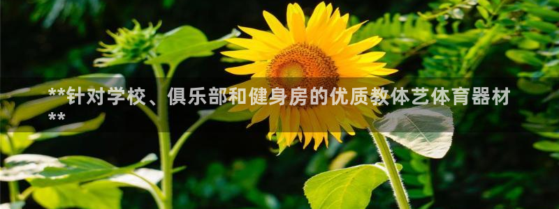 耀世娱乐注册入口：**针对学校、俱乐部和健身房的优质