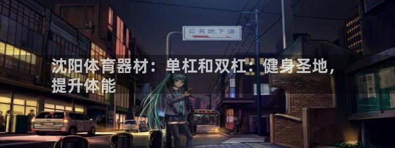 耀世娱乐登入不了账号：沈阳体育器材：单杠和双杠：健身