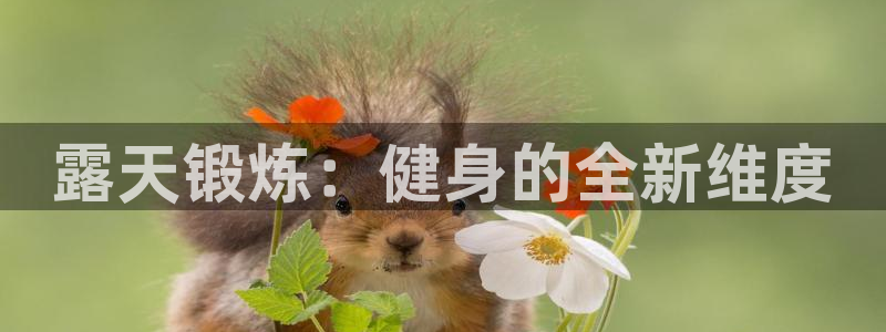 耀世令有什么用：露天锻炼：健身的全新维度