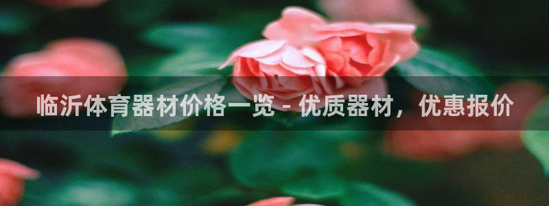 耀世集团是干嘛的企业啊怎么样：临沂体育器材价格一览 
