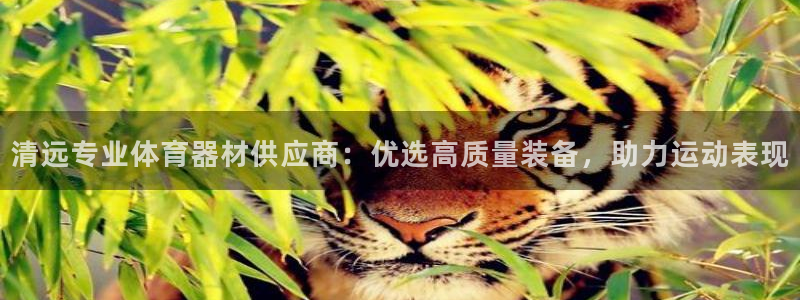 耀世令是什么：清远专业体育器材供应商：优选高质量装备