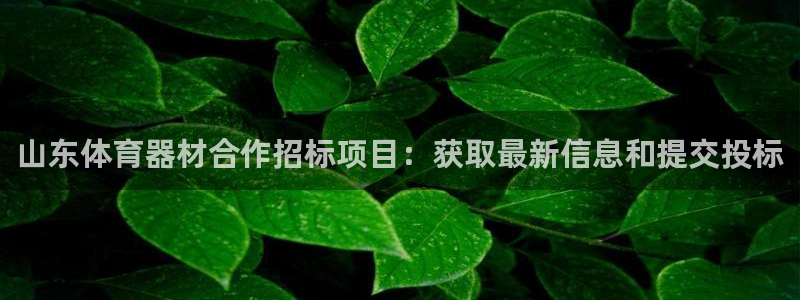 耀世汽车：山东体育器材合作招标项目：获取最新信息和提