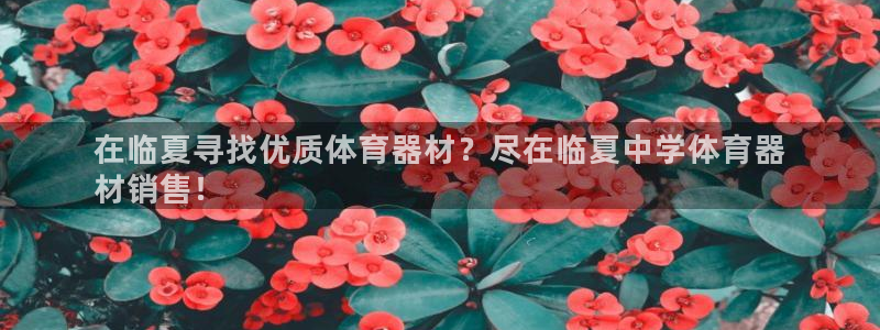 耀世平台有很多登录地址怎么回事：在临夏寻找优质体育器