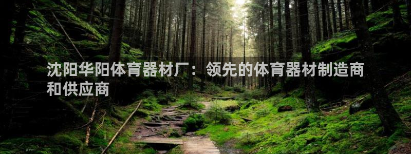 耀世平台注册链接怎么打开：沈阳华阳体育器材厂：领先的