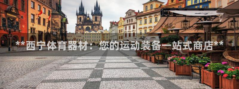 耀世是什么车：**西宁体育器材：您的运动装备一站式商