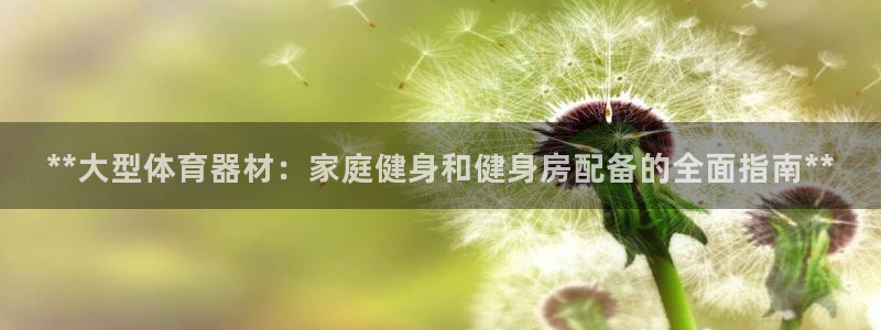 耀世娱乐辅助软件下载：**大型体育器材：家庭健身和健