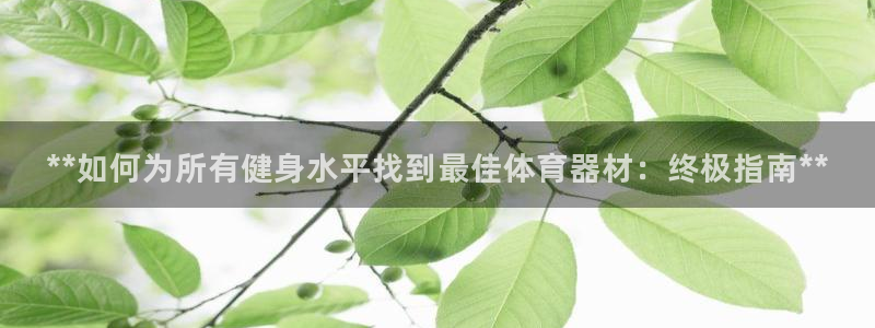 耀世国际平台正规吗可靠吗安全吗：**如何为所有健身水