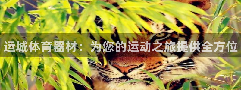 耀世平台管 5O6917 耀世：运城体育器材：为您的