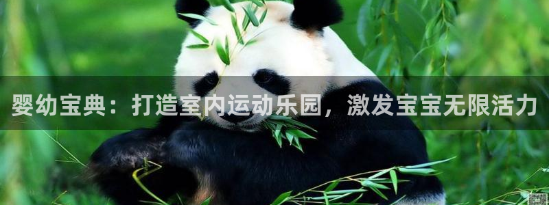 耀世娱乐注册开户：婴幼宝典：打造室内运动乐园，激发宝