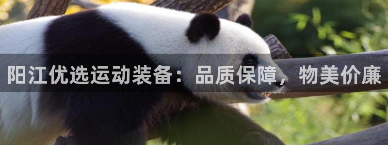 耀世娱乐平台官网登录入口下载：阳江优选运动装备：品质