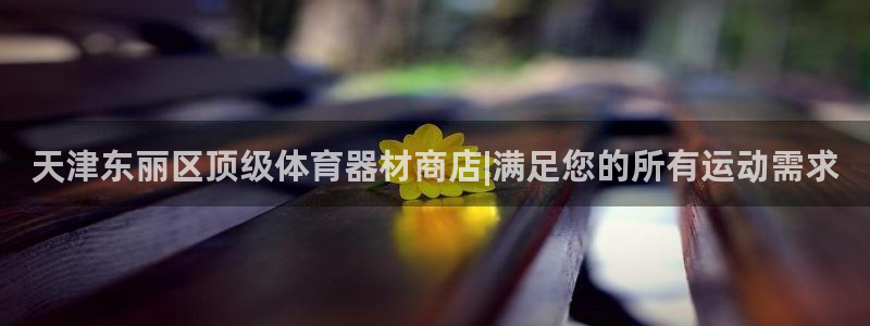 耀世天下网名好吗：天津东丽区顶级体育器材商店|满足您