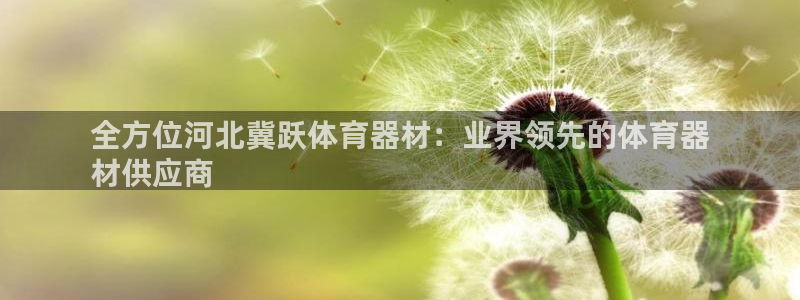 耀世娱乐下载最新版本安装苹果：全方位河北冀跃体育器材
