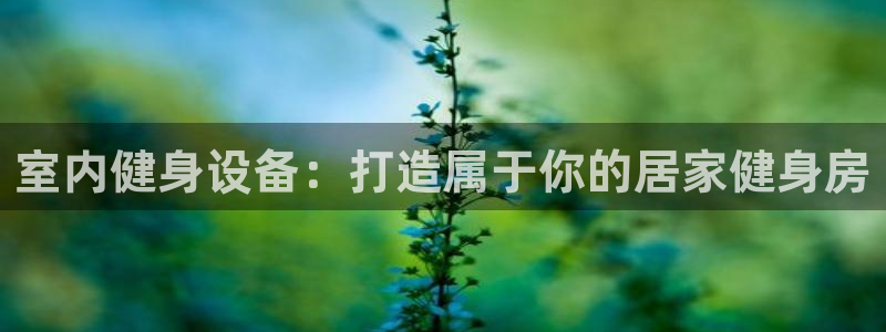 耀世小说全文免费阅读：室内健身设备：打造属于你的居家