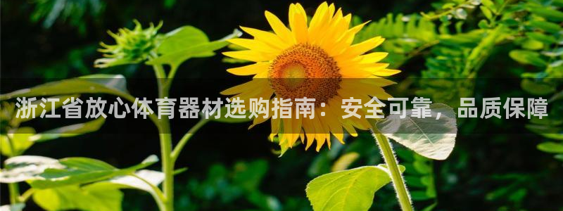 耀世平台最新注册地址：浙江省放心体育器材选购指南：安