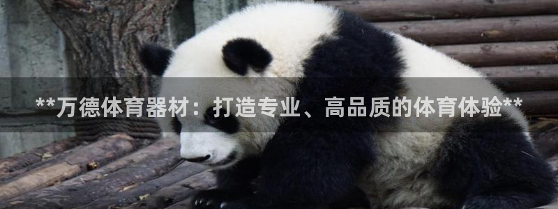 耀世和耀至的区别：**万德体育器材：打造专业、高品质