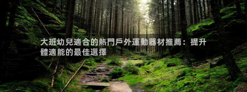 耀世娱乐网站下载：大班幼兒適合的熱門戶外運動器材推薦