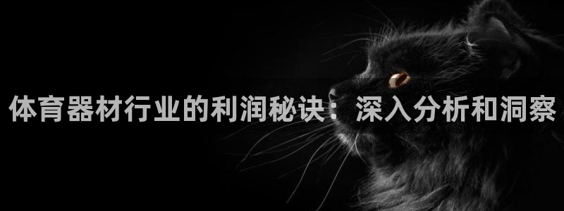 耀世平台合作 585341：体育器材行业的利润秘诀：
