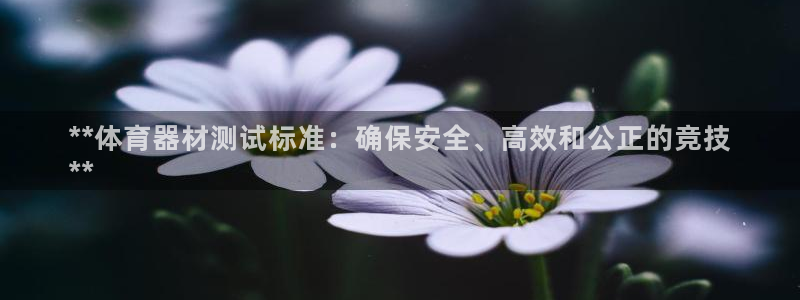 耀世娱乐好不好做：**体育器材测试标准：确保安全、高