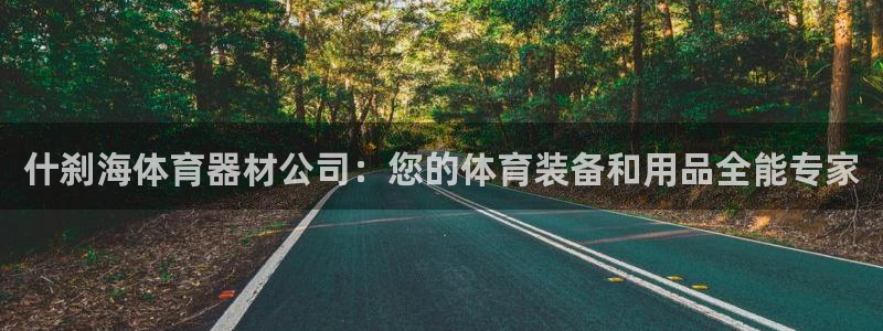 耀世挑战怎么打：什刹海体育器材公司：您的体育装备和用
