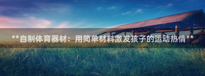 耀世娱乐家 411O31 耀世：**自制体育器材：用