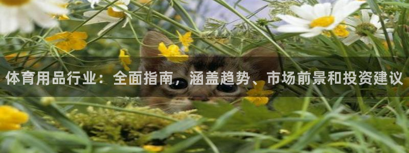 耀世娱乐是什么意思啊：体育用品行业：全面指南，涵盖趋
