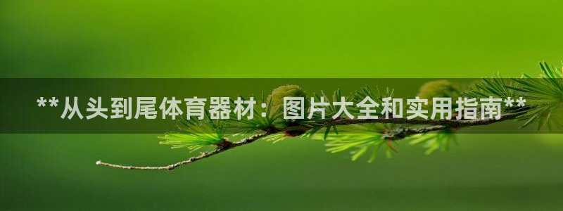 耀世集团员工福利待遇：**从头到尾体育器材：图片大全