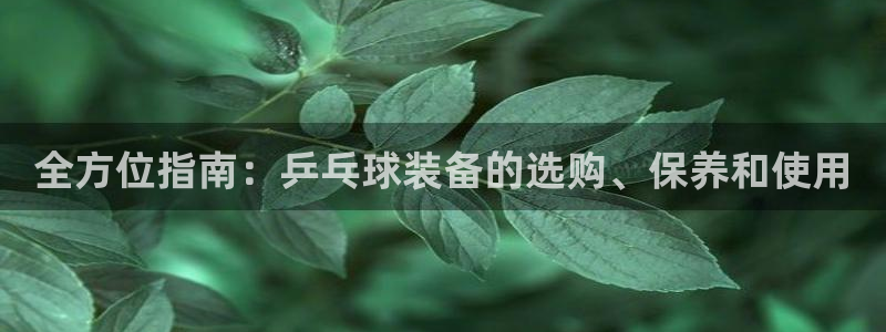 耀世集团是什么电影院：全方位指南：乒乓球装备的选购、