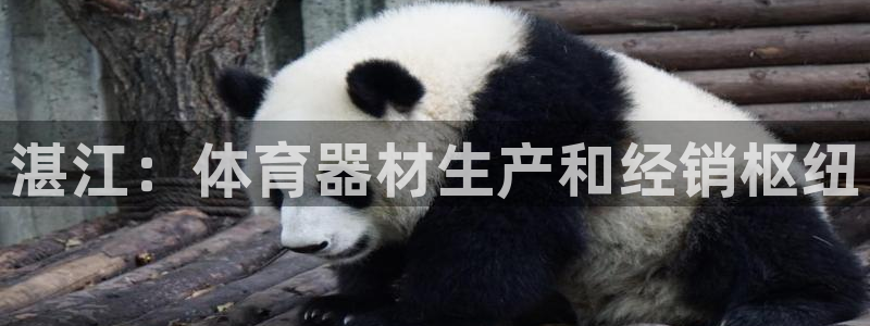 耀世娱乐提款多久到账啊：湛江：体育器材生产和经销枢纽
