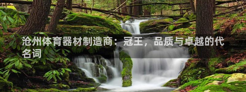 耀世娱乐登录地址在哪看：沧州体育器材制造商：冠王，品
