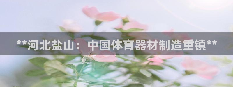 耀世娱乐挂机教程：**河北盐山：中国体育器材制造重镇