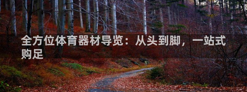 耀世娱乐脚本下载安装：全方位体育器材导览：从头到脚，