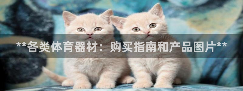 耀世娱乐如何登录账号密码：**各类体育器材：购买指南