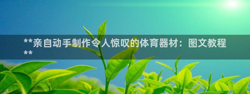 耀世国际平台正规吗可靠吗可信吗：**亲自动手制作令人