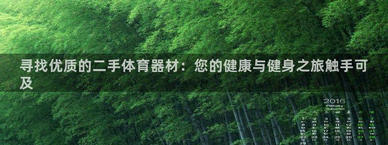 耀世平台的运营模式分析：寻找优质的二手体育器材：您的