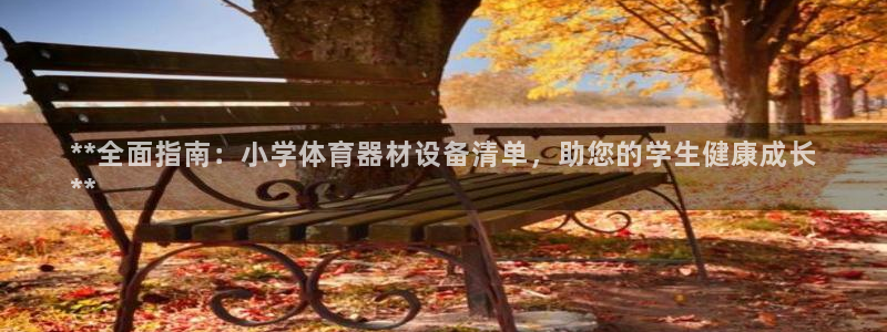 耀世x4：**全面指南：小学体育器材设备清单，助您的