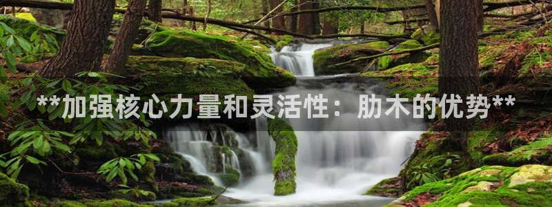 耀世广告：**加强核心力量和灵活性：肋木的优势**