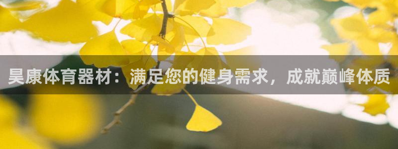 耀世娱乐百科：昊康体育器材：满足您的健身需求，成就巅