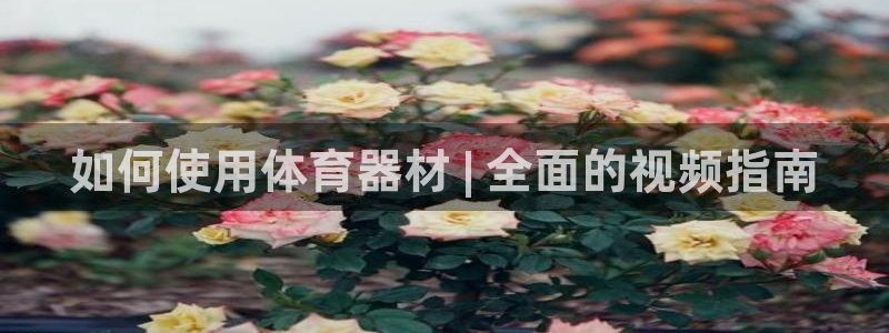耀世天下的图片唯美：如何使用体育器材 | 全面的视频