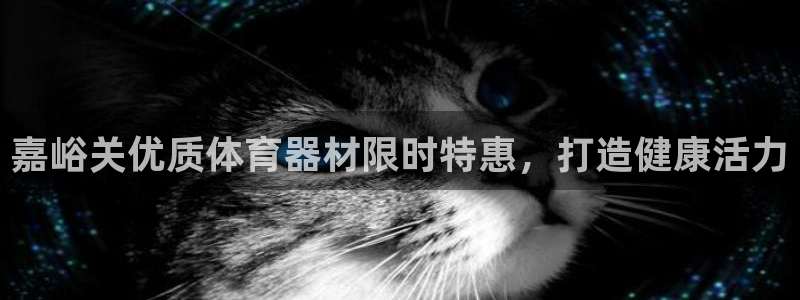 耀世集团商业联盟官网：嘉峪关优质体育器材限时特惠，打
