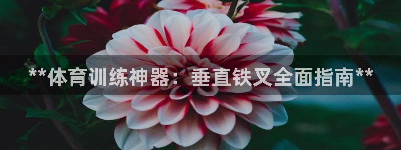 耀世平台注册网址：**体育训练神器：垂直铁叉全面指南
