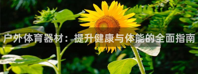 耀世雷霆官方版：户外体育器材：提升健康与体能的全面指