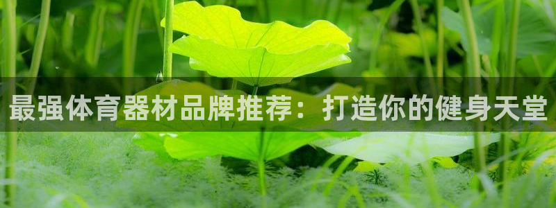 耀世平台app下载官网：最强体育器材品牌推荐：打造你