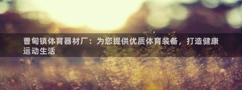 耀世平台：曹甸镇体育器材厂：为您提供优质体育装备，打
